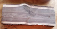 Black Walnut live edge board